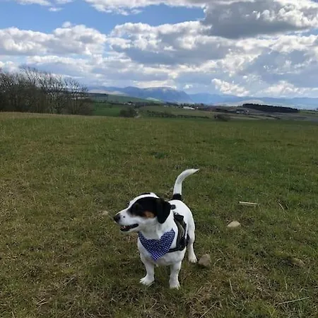 Holiday home Barncroft: Dogs Welcome, Dog Care Services Offered