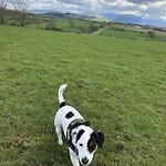 Дом отдыха Barncroft: Dogs Welcome, Dog Care Services Offered