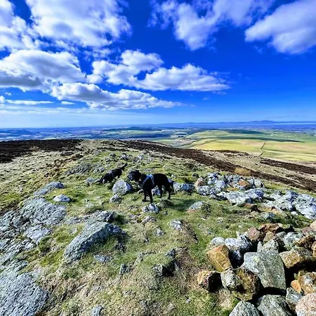 Barncroft: Dogs Welcome, Dog Care Services Offered Cockermouth