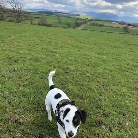 Dom wakacyjny Barncroft: Dogs Welcome, Dog Care Services Offered