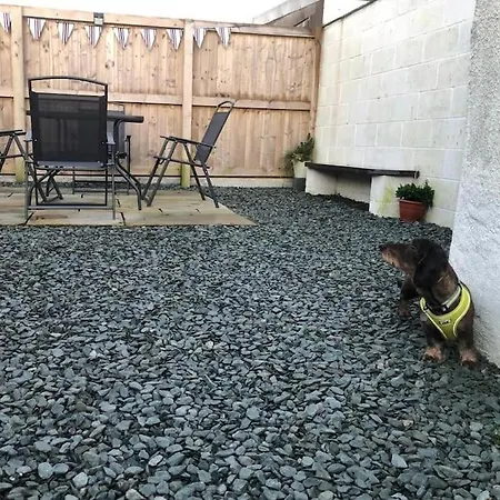 Barncroft: Dogs Welcome, Dog Care Services Offered