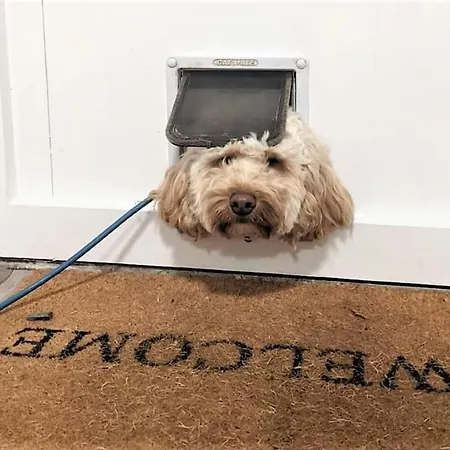 Barncroft: Dogs Welcome, Dog Care Services Offered Semesterbostad *