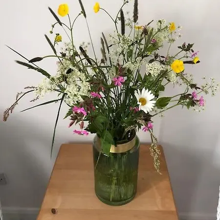 Barncroft: Dogs Welcome, Dog Care Services Offered